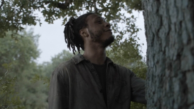ftwd511_2070.jpg