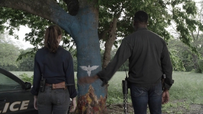 ftwd511_2104.jpg