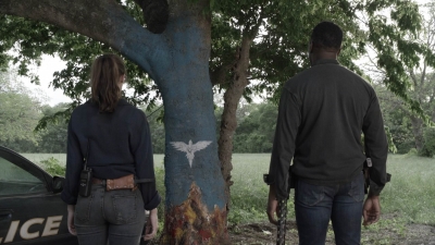 ftwd511_2106.jpg