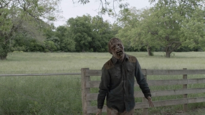 ftwd511_2112.jpg