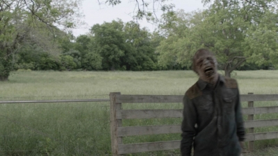ftwd511_2113.jpg