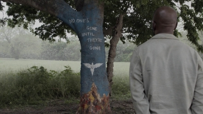 ftwd511_2181.jpg