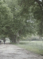ftwd511_1806.jpg