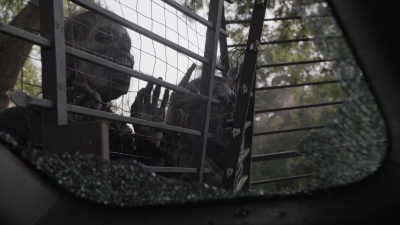 ftwd512_0459.jpg