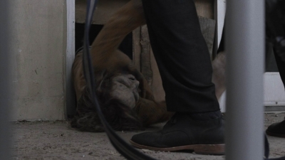 ftwd512_0811.jpg