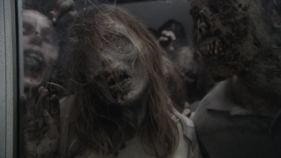 ftwd512_0851.jpg