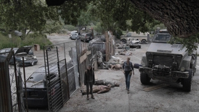 ftwd512_1022.jpg