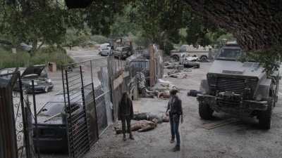 ftwd512_1024.jpg