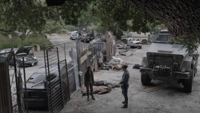 ftwd512_1025.jpg