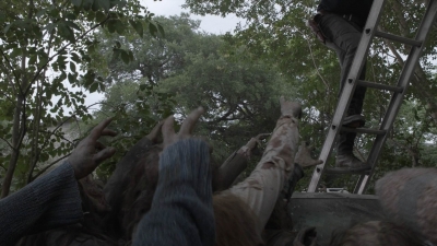 ftwd512_1471.jpg