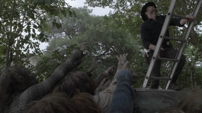ftwd512_1478.jpg