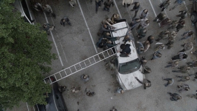 Click to view full size image
==============
ftwd512_1670.jpg ftwd512_1670.jpg