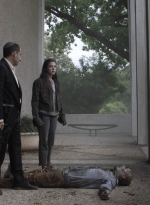 ftwd512_0734.jpg