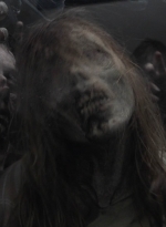 ftwd512_0843.jpg