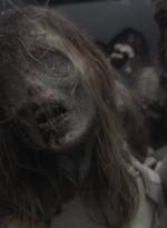 ftwd512_0851.jpg