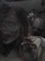 ftwd512_0852.jpg