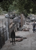 ftwd512_1019.jpg
