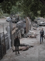 ftwd512_1020.jpg