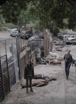 ftwd512_1021.jpg