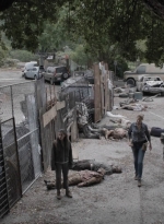 ftwd512_1022.jpg