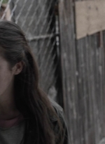 ftwd512_1109.jpg