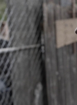 ftwd512_1110.jpg
