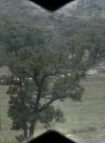 ftwd512_1226.jpg