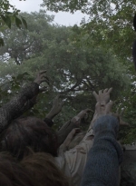 ftwd512_1478.jpg