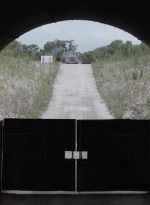 ftwd512_2386.jpg