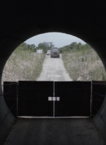 ftwd512_2419.jpg