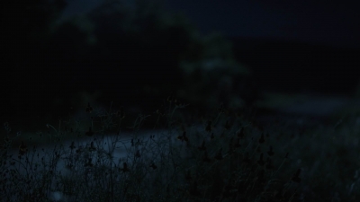 ftwd513_1586.jpg