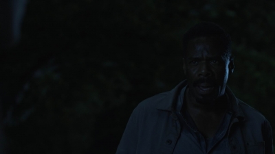 ftwd513_1612.jpg