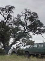 ftwd513_0672.jpg