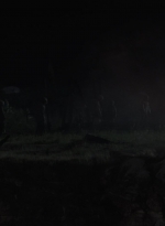 ftwd513_1431.jpg