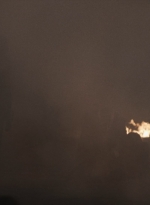ftwd513_1579.jpg
