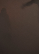 ftwd513_1582.jpg