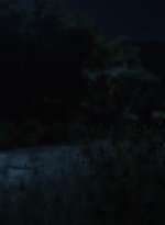 ftwd513_1587.jpg