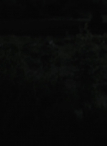 ftwd513_1785.jpg