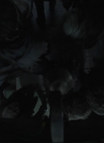 ftwd513_1873.jpg