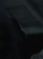 ftwd513_1883.jpg