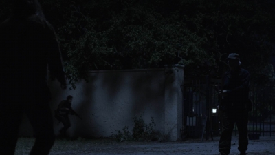 ftwd514_1135.jpg