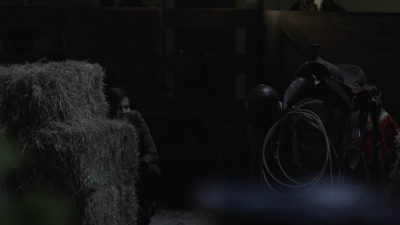 ftwd514_1237.jpg