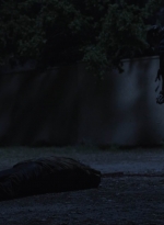 ftwd514_1151.jpg