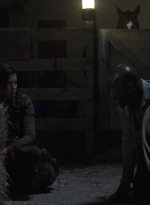 ftwd514_1274.jpg