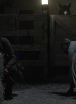 ftwd514_1276.jpg