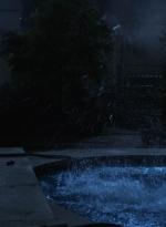 ftwd514_1604.jpg