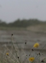 ftwd514_2286.jpg