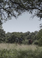 ftwd515_1514.jpg
