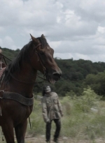ftwd516_1190.jpg