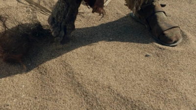 ftwd601_scnet_0006.jpg